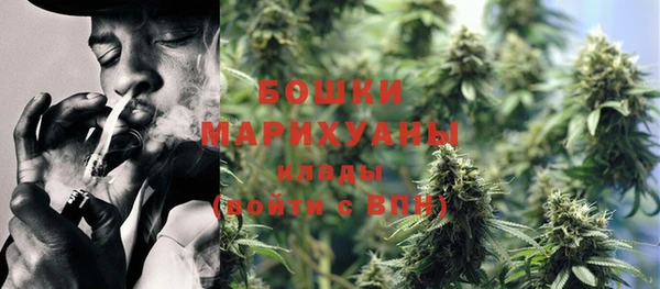 тгк Лиски