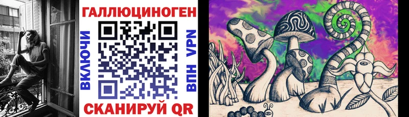 гидра как войти  сколько стоит  Серов  Псилоцибиновые грибы Psilocybine cubensis 