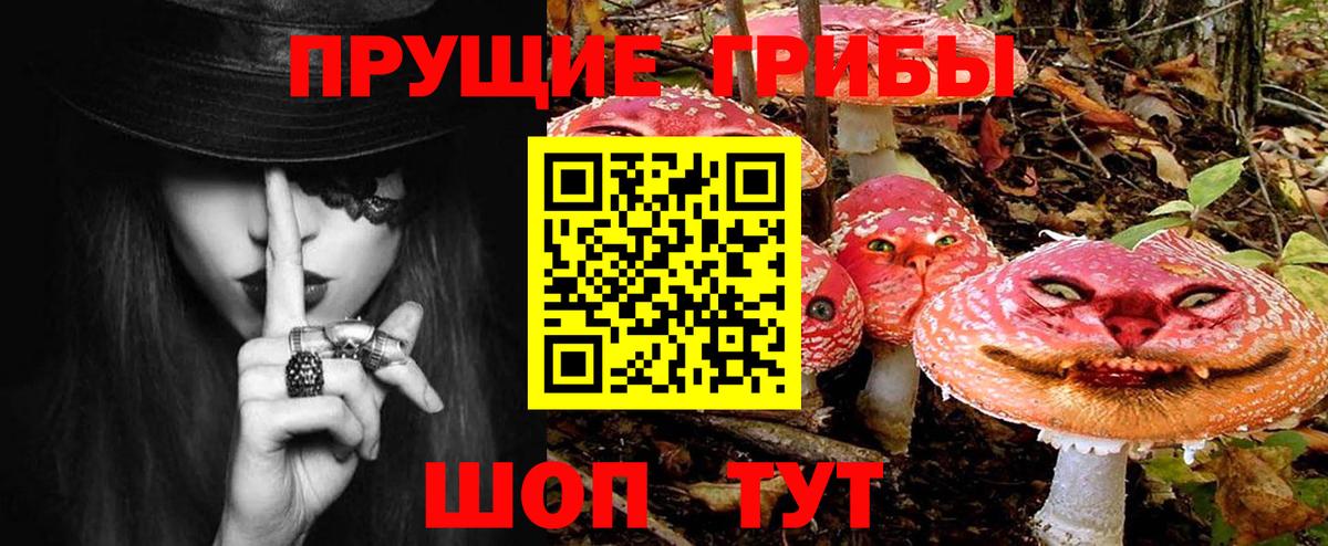 Галлюциногенные грибы Psilocybe Серов